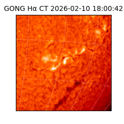 gong - 2026-02-10T18:00:42