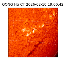 gong - 2026-02-10T19:00:42