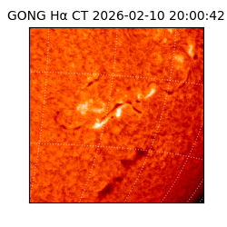 gong - 2026-02-10T20:00:42