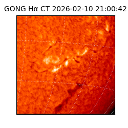 gong - 2026-02-10T21:00:42
