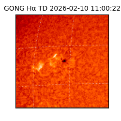 gong - 2026-02-10T11:00:22