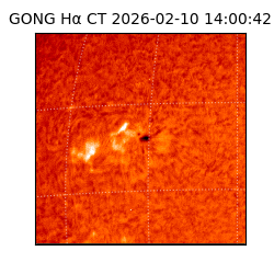 gong - 2026-02-10T14:00:42