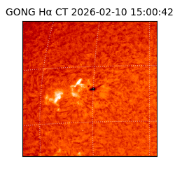 gong - 2026-02-10T15:00:42