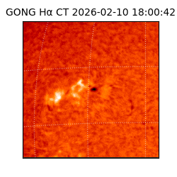 gong - 2026-02-10T18:00:42