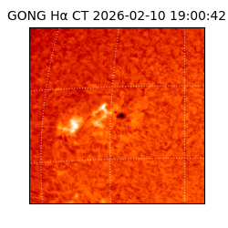 gong - 2026-02-10T19:00:42