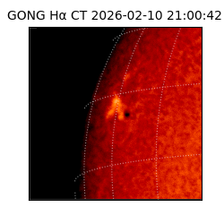 gong - 2026-02-10T21:00:42