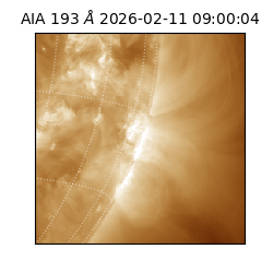 saia - 2026-02-11T09:00:04.842000