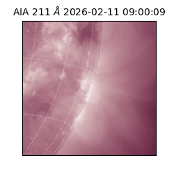 saia - 2026-02-11T09:00:09.622000