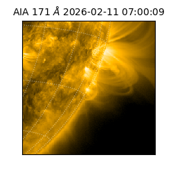 saia - 2026-02-11T07:00:09.343000