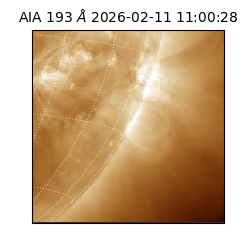 saia - 2026-02-11T11:00:28.843000