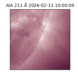 saia - 2026-02-11T10:00:09.626000