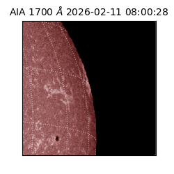saia - 2026-02-11T08:00:28.717000