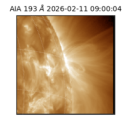 saia - 2026-02-11T09:00:04.842000