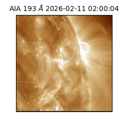 saia - 2026-02-11T02:00:04.843000