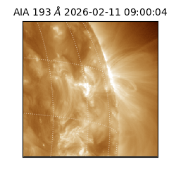 saia - 2026-02-11T09:00:04.842000