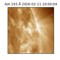 saia - 2026-02-11T10:00:04.843000
