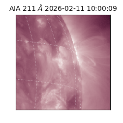 saia - 2026-02-11T10:00:09.626000