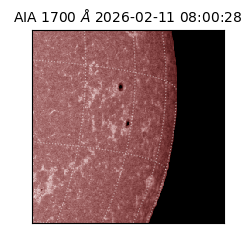 saia - 2026-02-11T08:00:28.717000