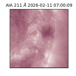 saia - 2026-02-11T07:00:09.619000