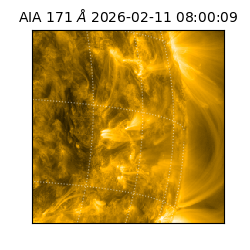 saia - 2026-02-11T08:00:09.353000