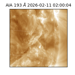saia - 2026-02-11T02:00:04.843000