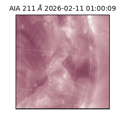 saia - 2026-02-11T01:00:09.626000