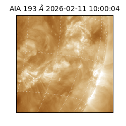 saia - 2026-02-11T10:00:04.843000