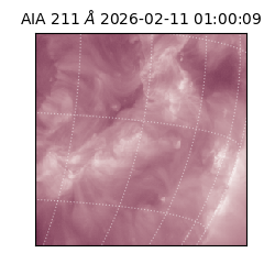 saia - 2026-02-11T01:00:09.626000