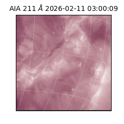 saia - 2026-02-11T03:00:09.626000