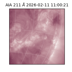 saia - 2026-02-11T11:00:21.618000