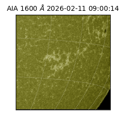 saia - 2026-02-11T09:00:14.133000