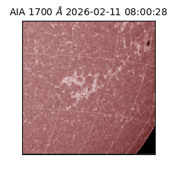 saia - 2026-02-11T08:00:28.717000