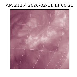 saia - 2026-02-11T11:00:21.618000