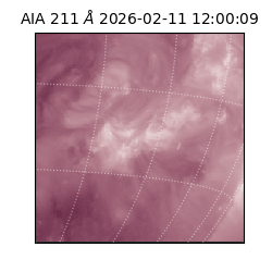 saia - 2026-02-11T12:00:09.632000