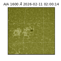 saia - 2026-02-11T02:00:14.126000
