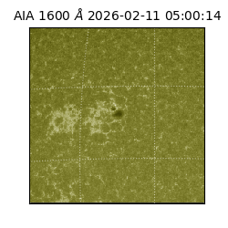 saia - 2026-02-11T05:00:14.118000