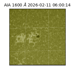 saia - 2026-02-11T06:00:14.123000