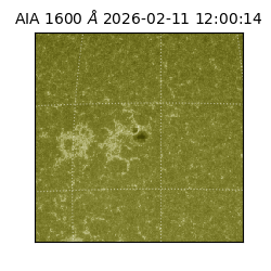 saia - 2026-02-11T12:00:14.125000