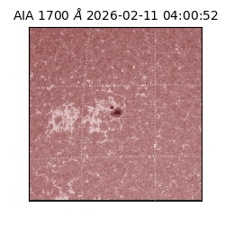 saia - 2026-02-11T04:00:52.726000