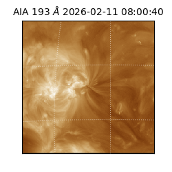 saia - 2026-02-11T08:00:40.843000
