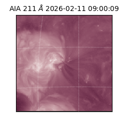 saia - 2026-02-11T09:00:09.622000