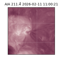 saia - 2026-02-11T11:00:21.618000