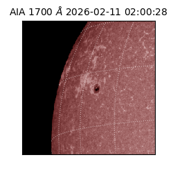 saia - 2026-02-11T02:00:28.717000