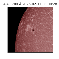 saia - 2026-02-11T08:00:28.717000