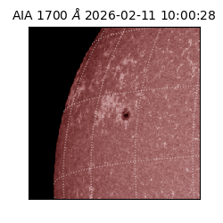 saia - 2026-02-11T10:00:28.717000