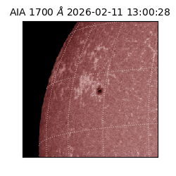 saia - 2026-02-11T13:00:28.717000