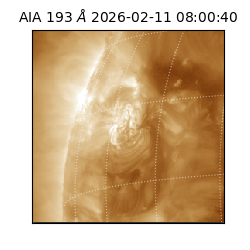 saia - 2026-02-11T08:00:40.843000