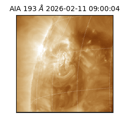 saia - 2026-02-11T09:00:04.842000