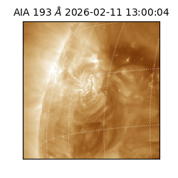 saia - 2026-02-11T13:00:04.843000