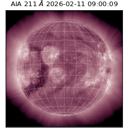 saia - 2026-02-11T09:00:09.622000